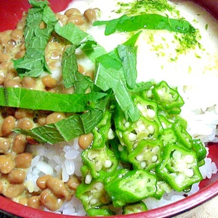 夏バテ予防にネバネバ丼